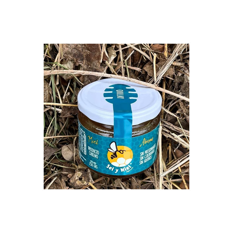 Miel Quillay 250 Gr Sol Y Miel
