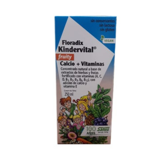 Floradix Kindervital 250 ml