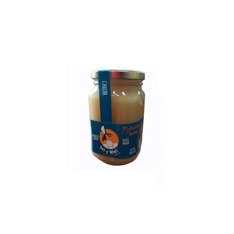 Miel Multifloral 500 Gr Sol Y Miel