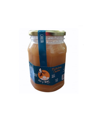Miel Multifloral 1 Kilo Sol Y Miel